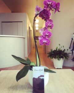 Tall magenta colored orchid plant with green leaves at the base of it in a white vase resting on a cream colored marble table with a circular white reception desk to the left and a long white hallway with doors right behind the flowers. Large green floor plant in a white vase on a light brown wooden floor to the right of orchid. A vertically positioned rectangular "Learn Reiki" brochure resting up against the center of the orchid vase.